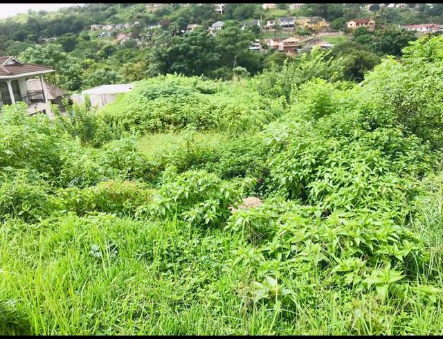 LAND FOR SALE IN NAGINA